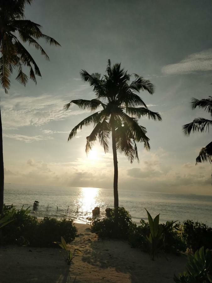 Alkina Lodge Fulidhoo Exterior foto